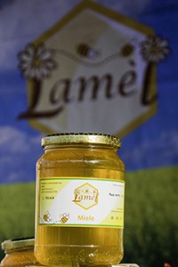 lamel2