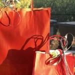 7bf22128fcabe657c2632bb09bdcb60c